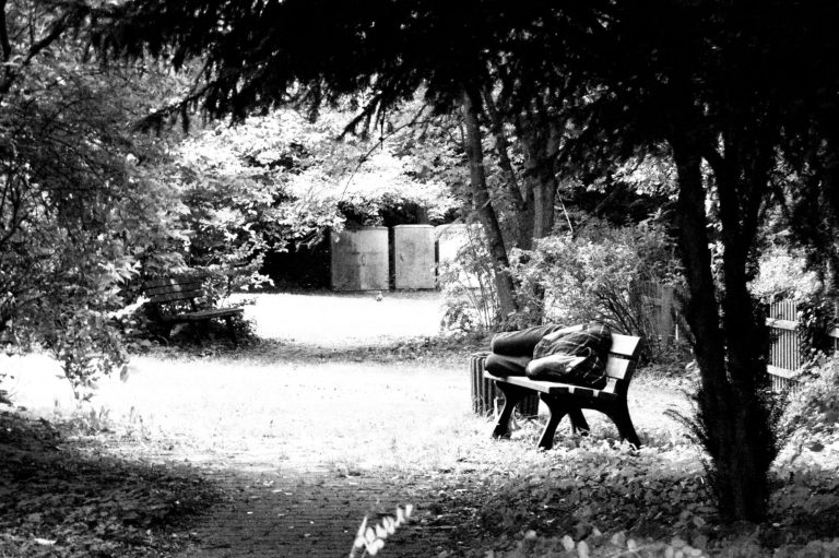 Ein ruhiger Garten mit einer Bank, umgeben von Bäumen und Sträuchern. Eine Person, die alleine auf einer Bank liegt